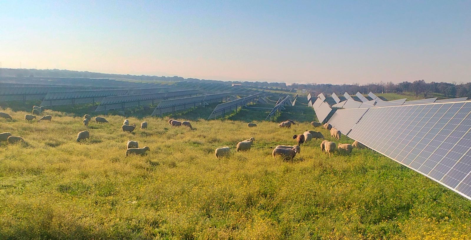 La fotovoltaica una vía para el desarrollo rural